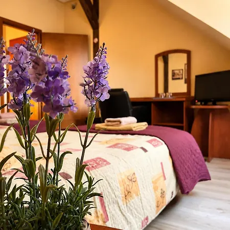 Alicja Hotel Nowe Bagienice